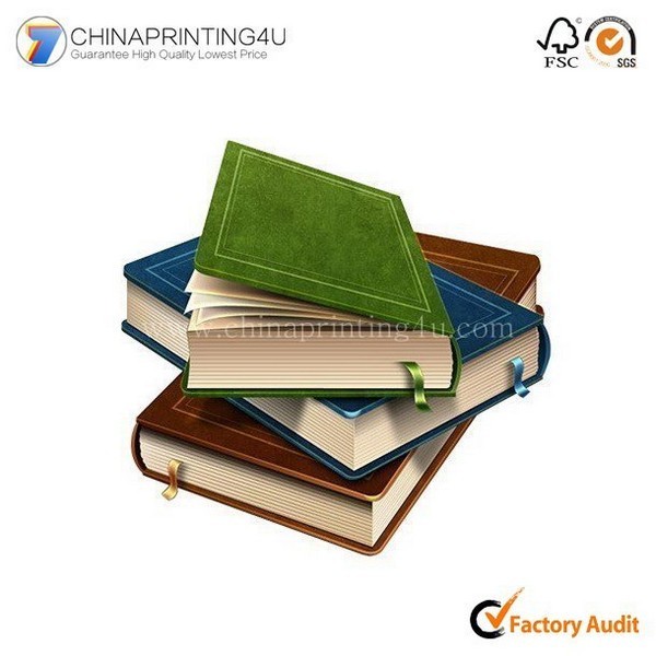 Professional English Learning Book Chinese English Dictionary
