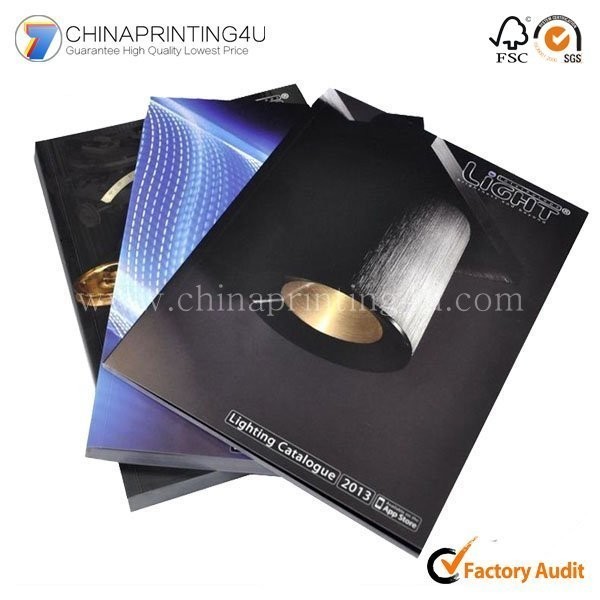 China Printing Customize Company Product Introduction Brochure