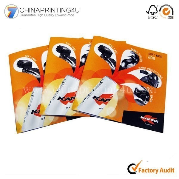 China Standard Size Professional Brochure Printing Service