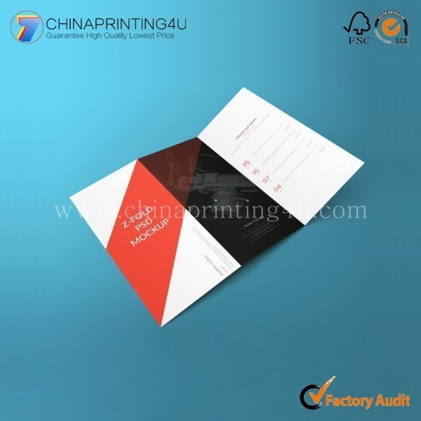 Customized Company Color Professional Flyer Brochure Poster