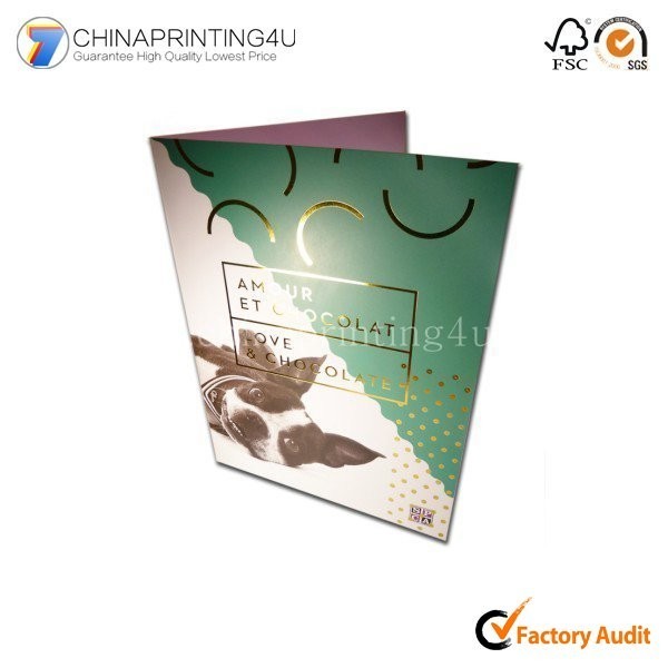 Trade Assurance Supplier Color Flyer Printing Foldable