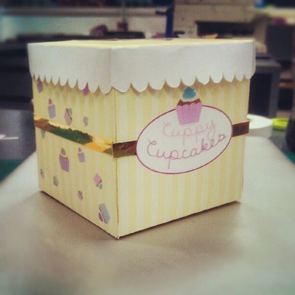 Custom Logo Printed Cupcake Box
